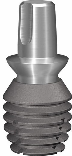 Bicon Implant