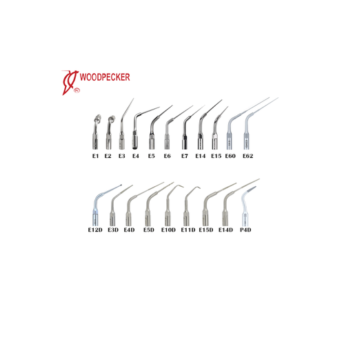 Woodpecker Scaling Tips 